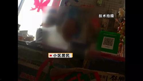 国产爽死视频播放在线,在线观看，畅享视听盛宴！